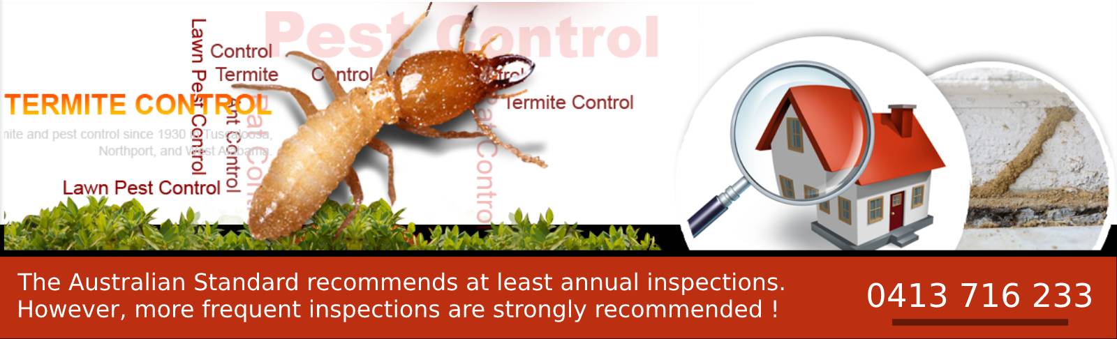 Termite Treatment Melbourne Termite Inspection Control Melbourne