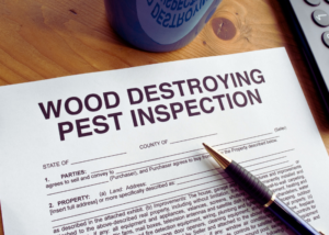 Termite Inspections